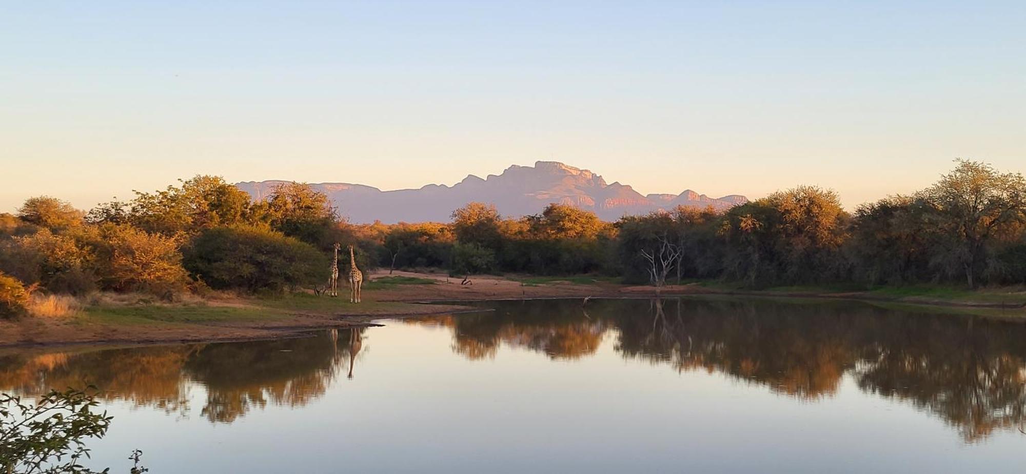 Villa Lanterfant - Luxury Stay In Nature - Solar Powered Hoedspruit Exterior photo
